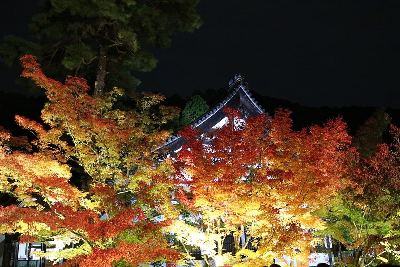 Maple leaves illuminated at night at Eikan-dō (Zenrin-ji) temple in Kyoto