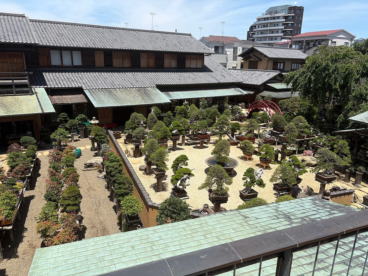 View over the grounds of Shunkaen Bonsai Museum in Tokyo, rows of cultivated bonsai trees on display