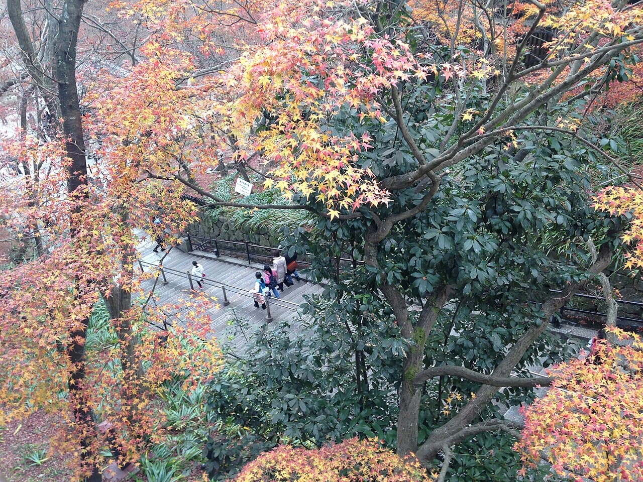 Autumn Leaves in Kyoto 2026: Where & When to See Fall Foliage