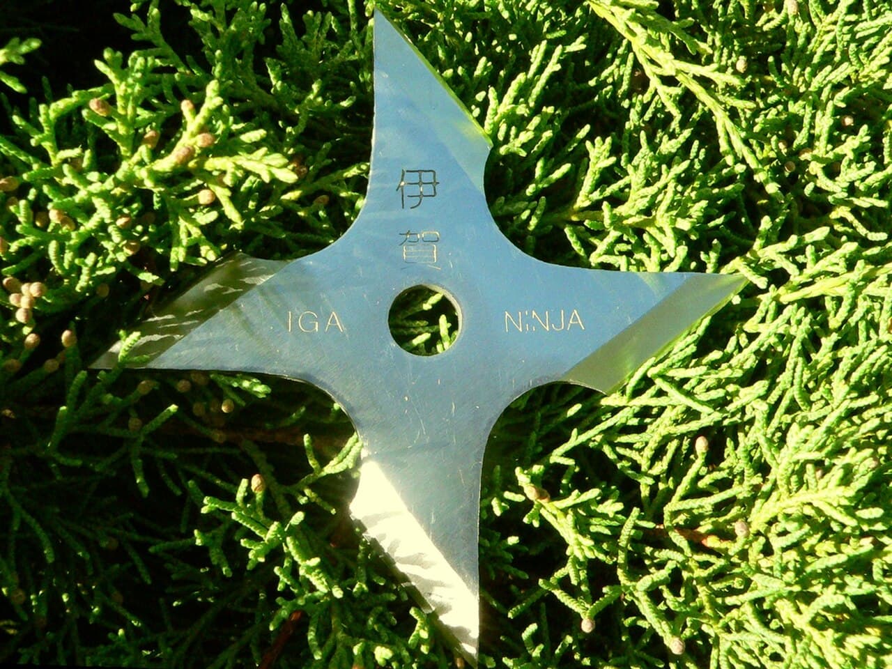 Un shuriken ninja tradicional (estrella arrojadiza)