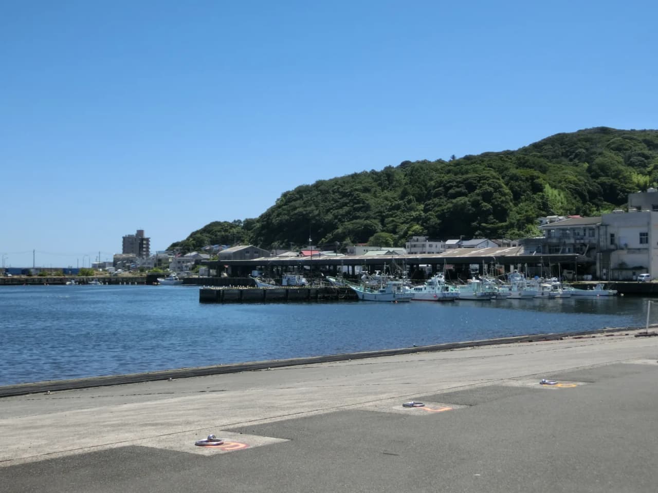 静岡県伊東市・伊東港の岸壁に並ぶ漁船。うずわ(ソウダガツオ)はこの港に水揚げされる