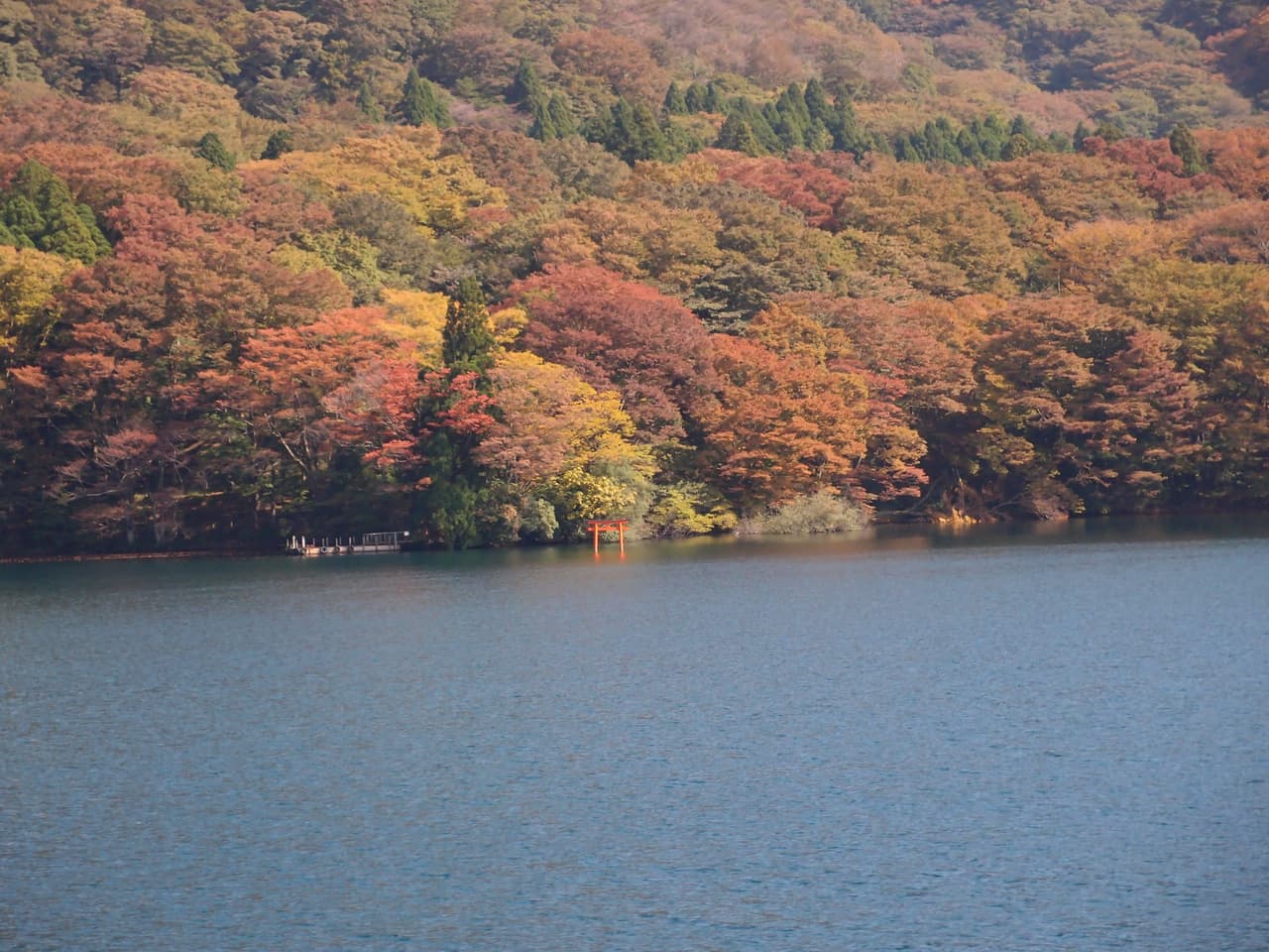 Autumn-coloured forest and a red torii gate on the shore of Lake Ashi, Hakone, seen from the sightseeing cruise between Togendai and Hakone-machi (31 October 2013)