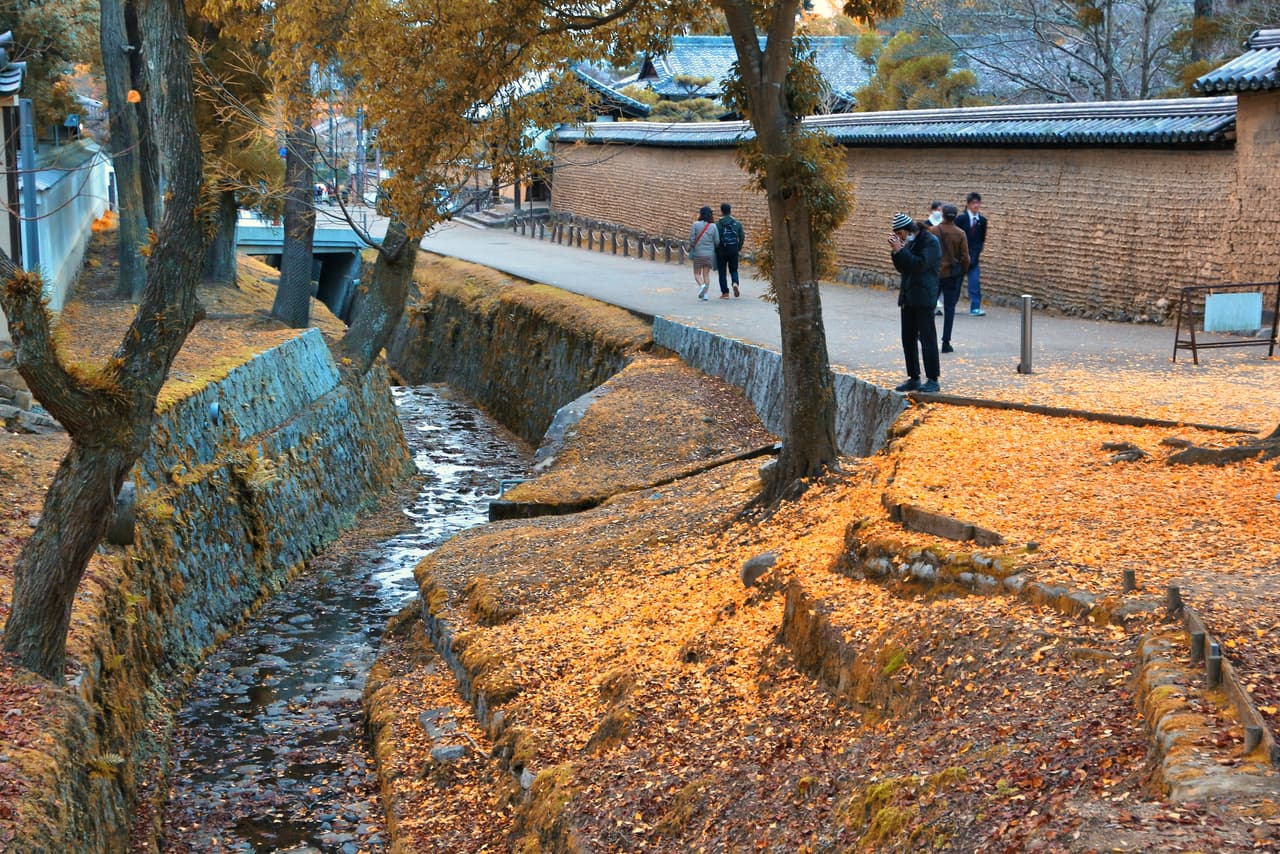 Yellow fallen leaves along a stream and earthen walls in Nara Park, with the Shingon-in temple gate in the background (23 November 2016)